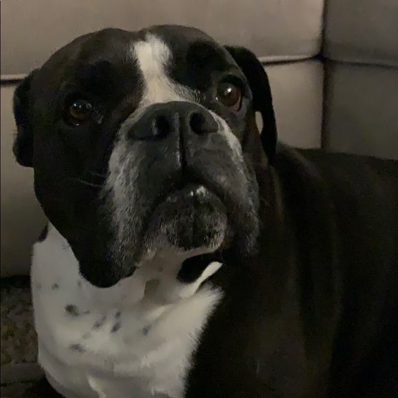 Meet your Posher, James - Picture 1 of 1